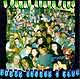 The Irish Blues Club : "forty shades of blue" IBC Records 1996